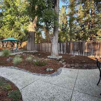 Oakplant Landscaping - Back Garden - Concord, CA